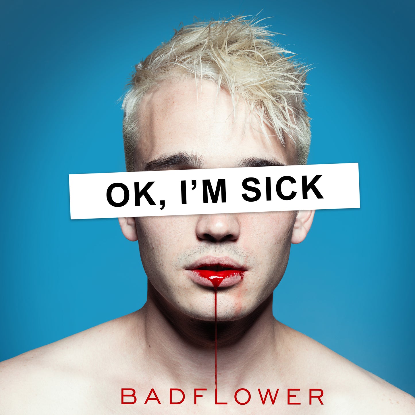 OK, I'm Sick Vinyl